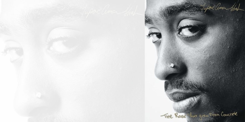 Celebrating 50 Years of HipHop Tupac Shakur, The Rose That Grew from
